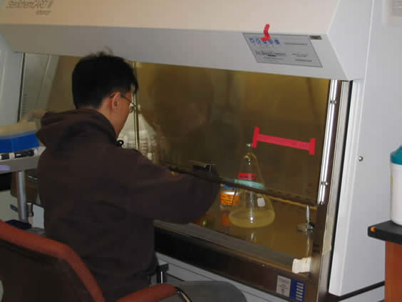 A person working in a lab